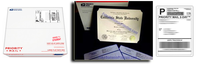 Priority Shipped Custom Diplomas