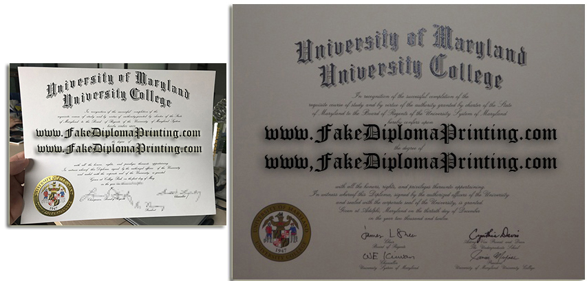 university of maryland fake diploma and transcripts