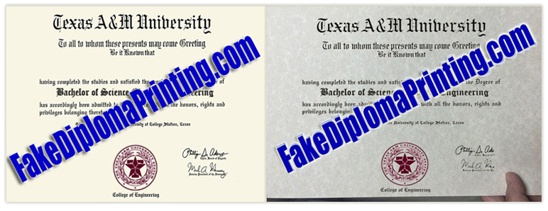 Texas A&M University Diploma.