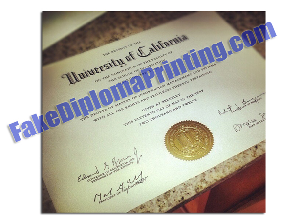 UC Berkeley Diploma Replica.