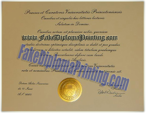Princeton University Diploma Degree Certificate